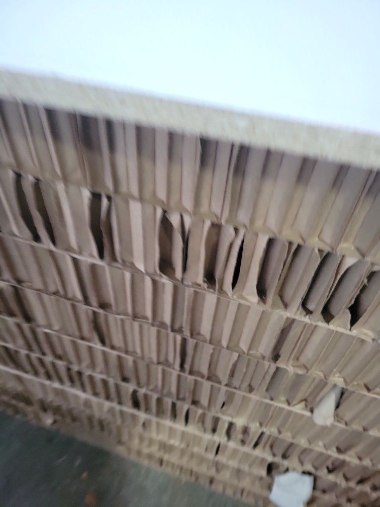 Cardboard 
