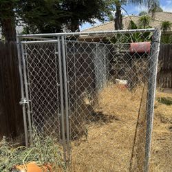 Dog Cage 