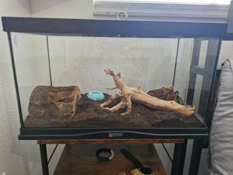Reptile Terrarium