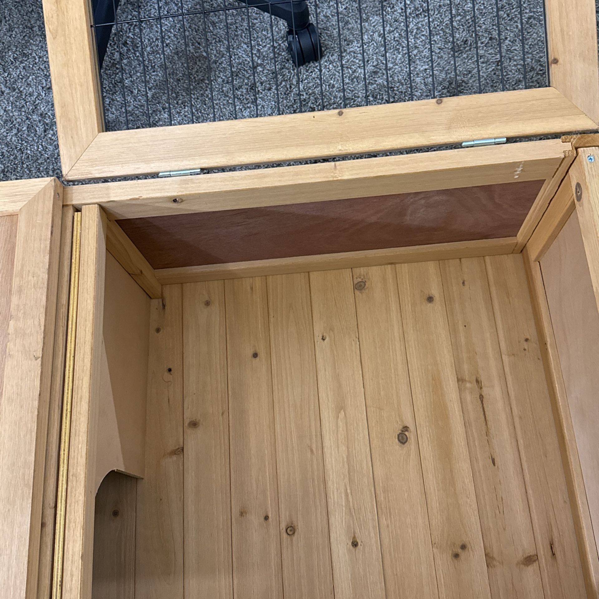 Tortoise House
