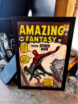 Spider man picture frame