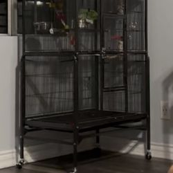 Bird Cage 