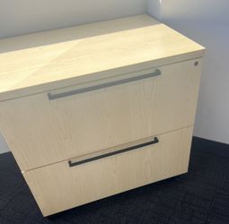 2 Door File Cabinet