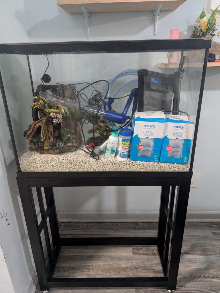 28 Gallon Fish Tank Complete Setup