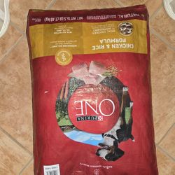 Purina One Adult Dog Food