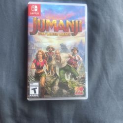 Nintendo Switch  (JUMANJI ) Video Game!