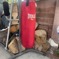 Everlast Punching Bag 75 Lbs (red)