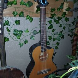 Electric Ukulele 