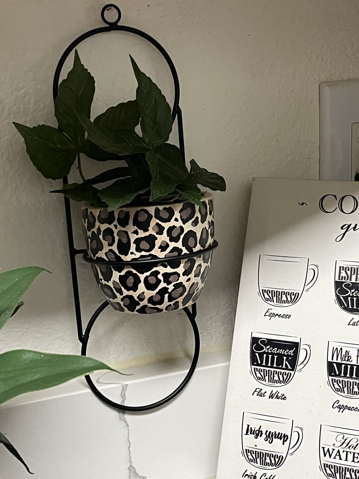 Adorable HAND PAINTED Leopard Print Planter🐆🌿🐆🌿🌿