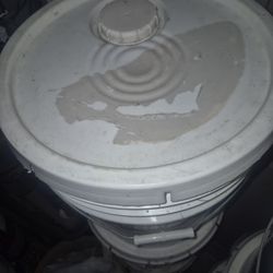 Pinturas. Fajitas. 95 $ Cada Una 