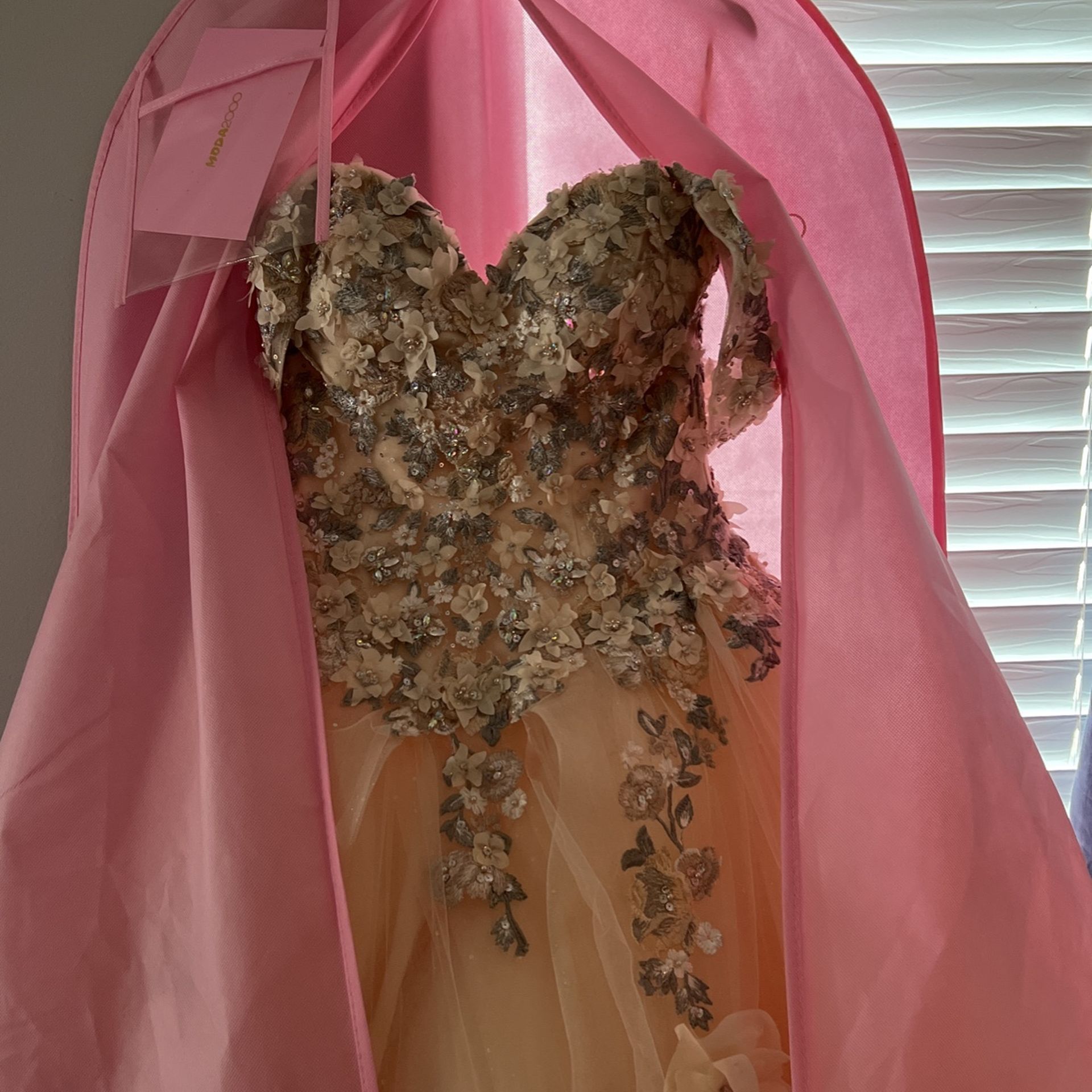 Quinceañera Dress