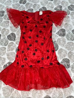 Girl Teen 16-18 lady bug Halloween costume