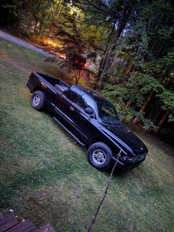 Hi everyone, My name is Bailey May and I have invested into a truck to start doing heavy weeds, vines, overgrowth, cleanup, and restoration . If you n