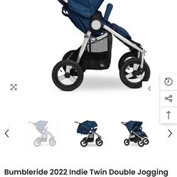 Bumbleride Indie Twin All-Terrain Stroller