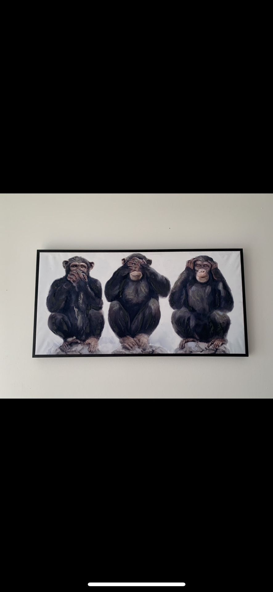 43x23 Appx Three Wise Monkeys See No Evil Hear No Evil Speaks no Evil Reflective Paint