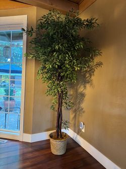 7-Foot Artificial Sakaki Tree with Woven Basket