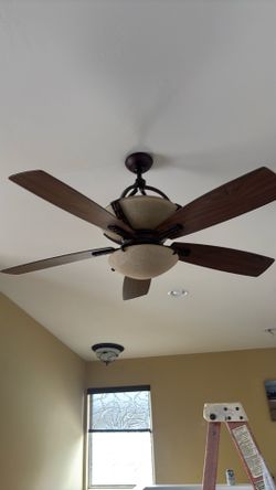 Ceiling fan