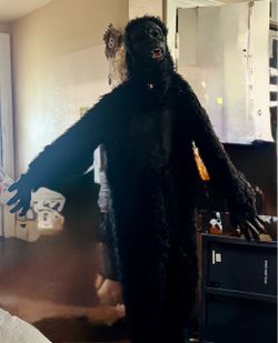 Target Gorilla Costume – Kids Size Large 🦍