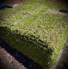 Pallet Of Centipede Sod $125