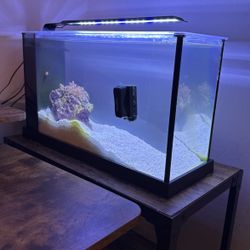 5 Gal Saltwater Fish Tank 