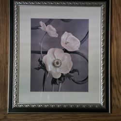 Iron Trellis II by Sondra Wampler (Art Print)