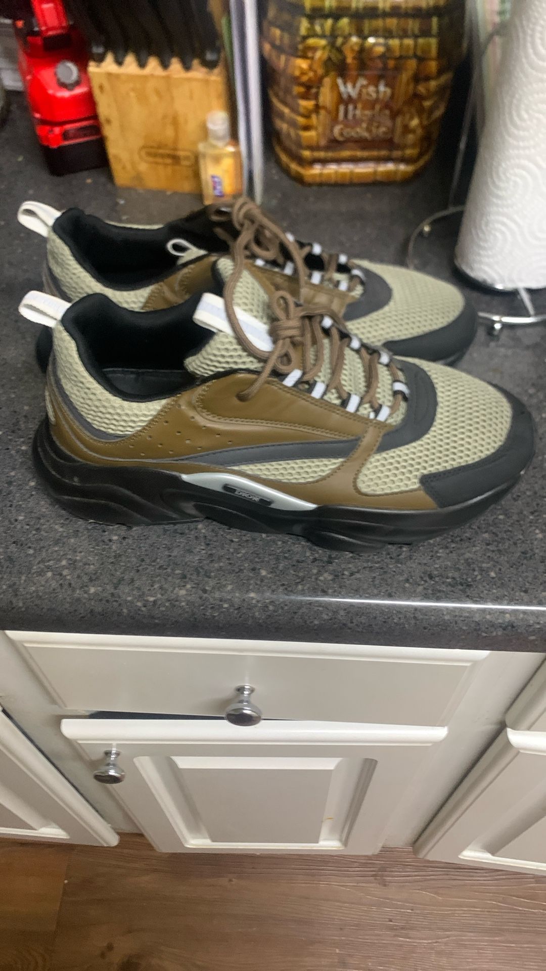Dior B22s