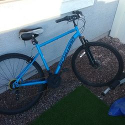 Schwinn Copeland Men's Bike