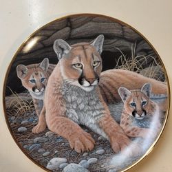 Plato Decorativo Mountain Lions