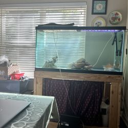 120 Gallon Tank Comes With Stand And Filter