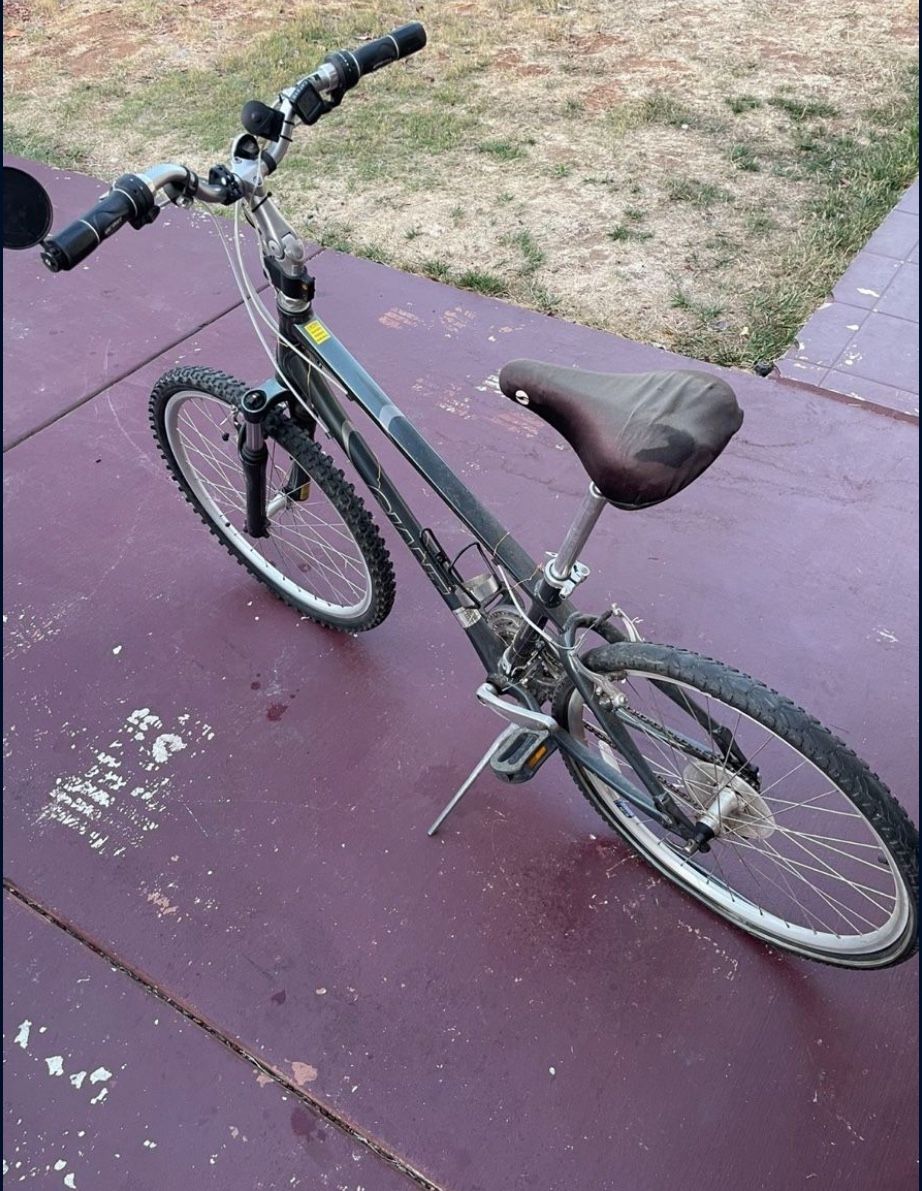 Giant Sedona DX Hybrid Bike
