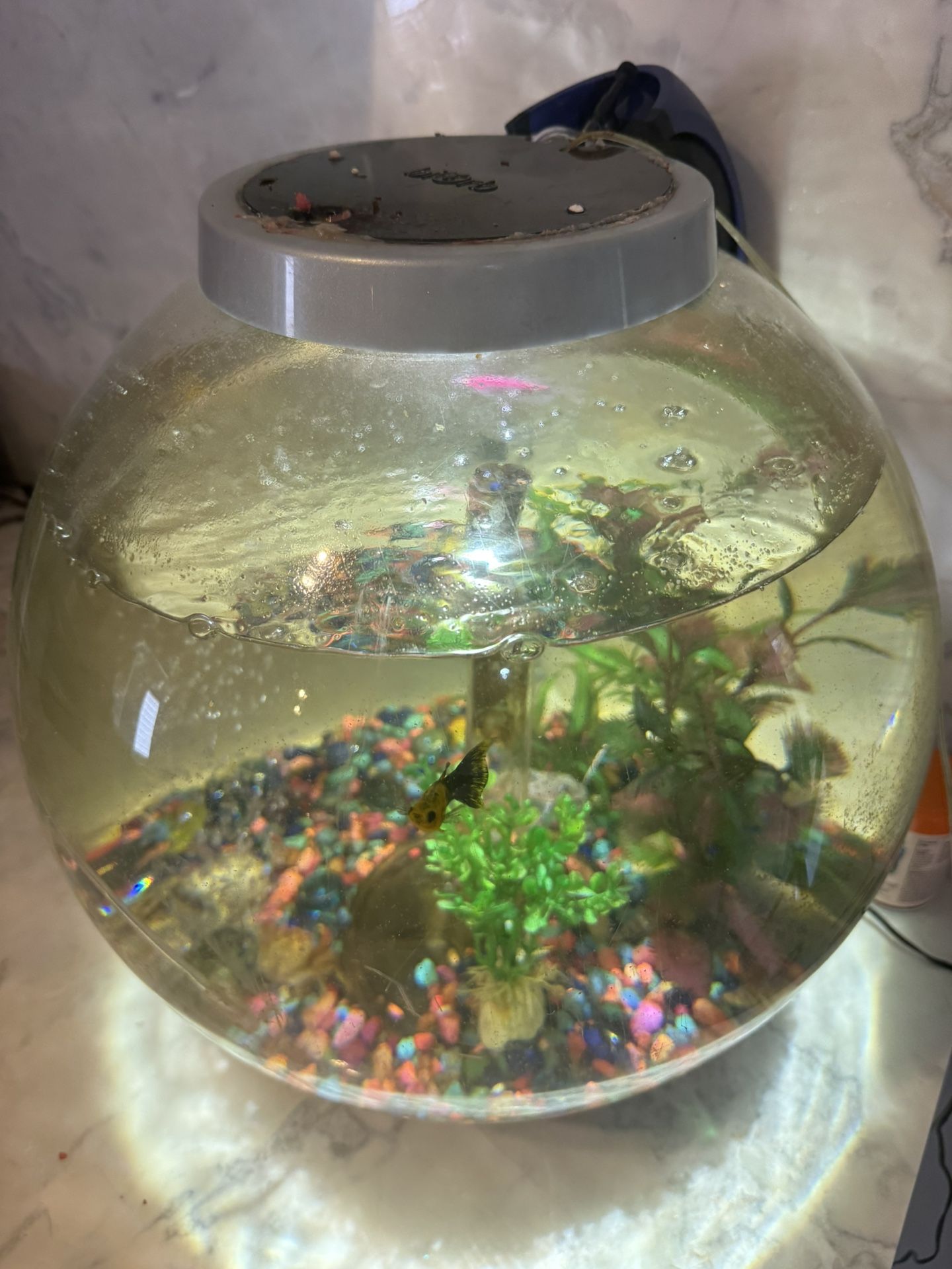 Pescera