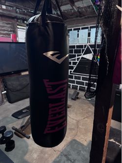 Everlast punching bag