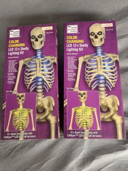 12ft Skelly Light Up Kit