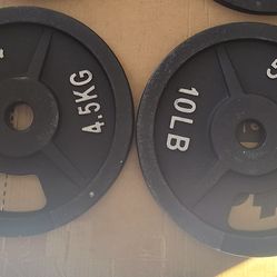 10lbs weight plates set of 2
