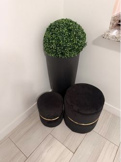 🔥 Moving Sale – Modern Home Decor Bundle (2 Storage Ottomans + Decorative Plant) – $120 OBO