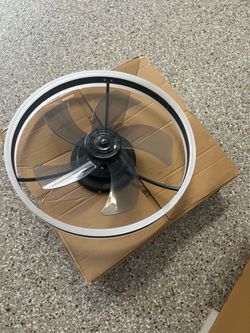 Fan