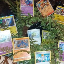 for lovers of collections