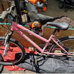 Bike and helmet for grown-up