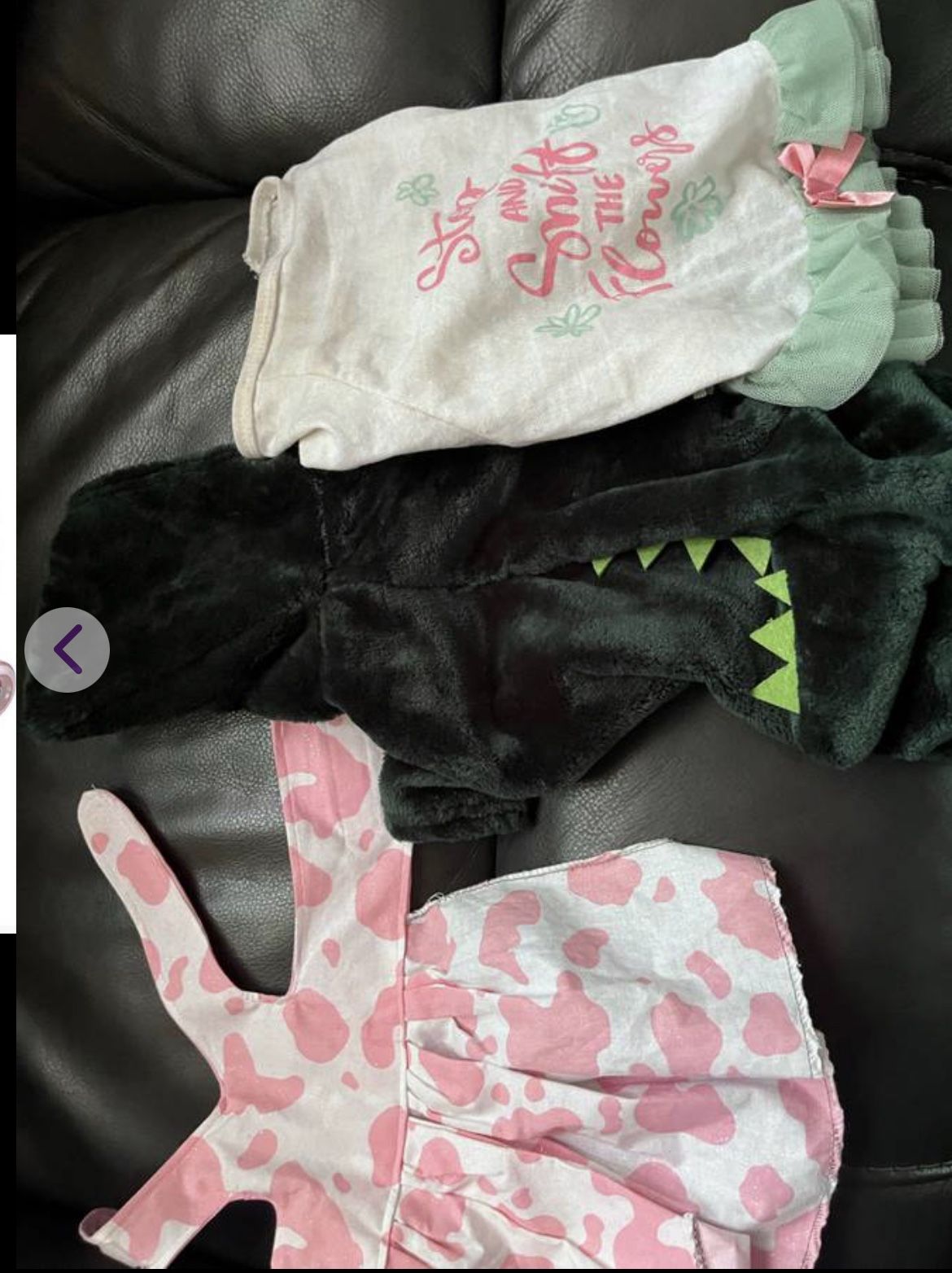 Dog Clothes