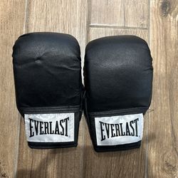 Everlast Boxing Gloves