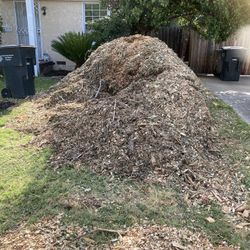 FREE WOODCHIPS FOR MULCH- Near Curtis Park 
