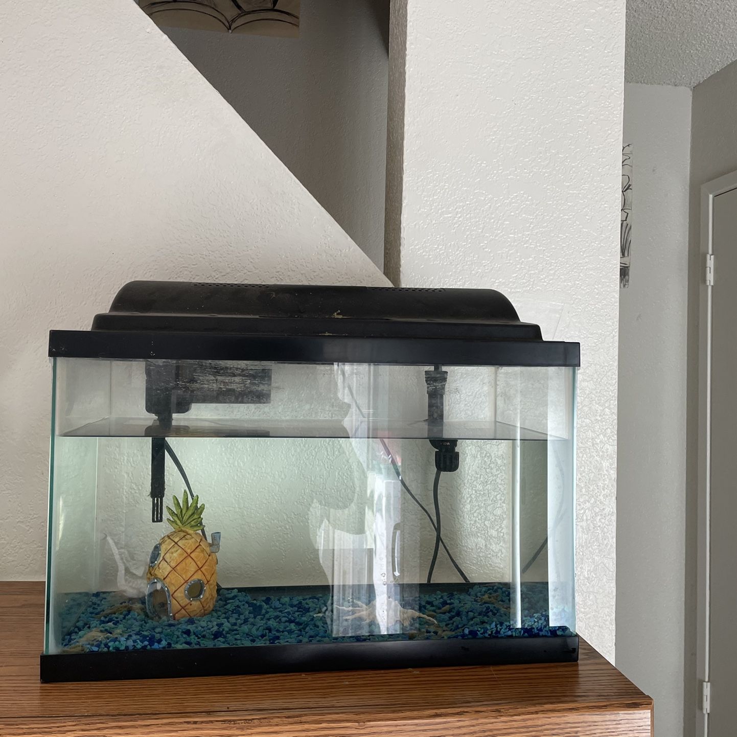 Fish Tank And Supplies