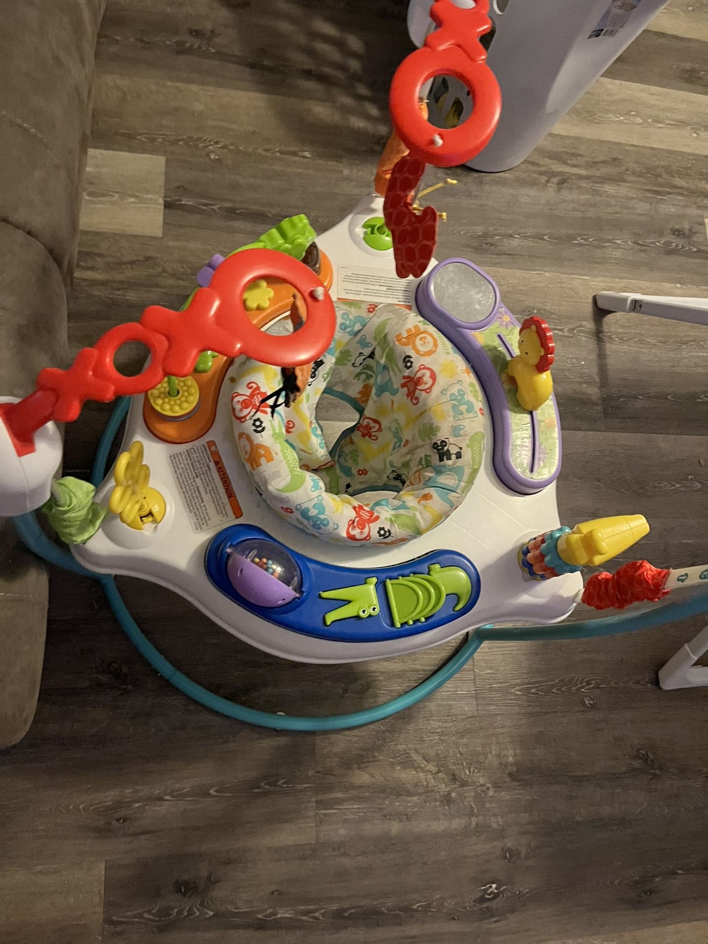 Baby Boy Bouncer/jumper