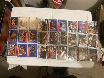 1991 Wwf 2002 Raw Vs Smack down wrestling cards