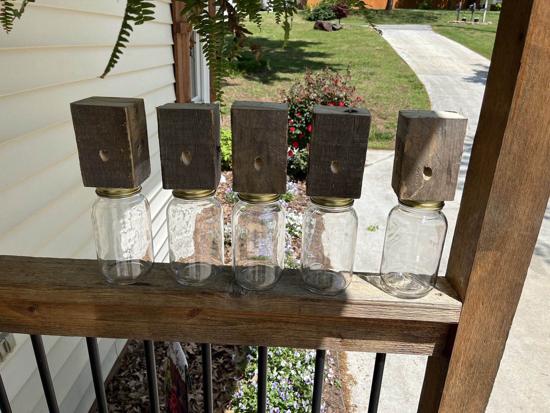 Carpenter Bee Trap