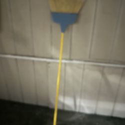 Broom for inside house
