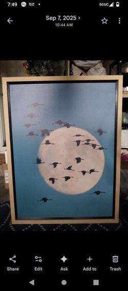 *Birds flying in the  moon light wall art*