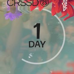 CRSSD Fall
