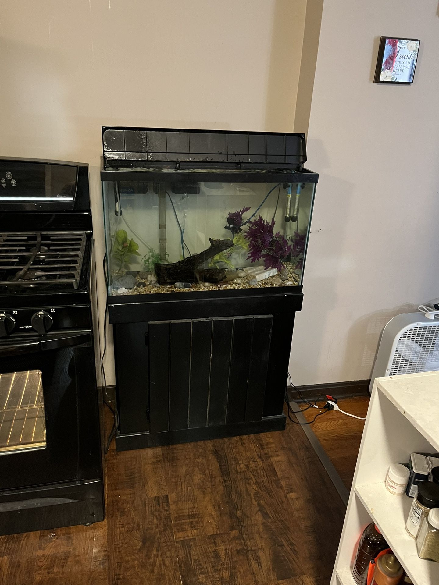 40 Gallon Fish Tank An Stand An Accessories