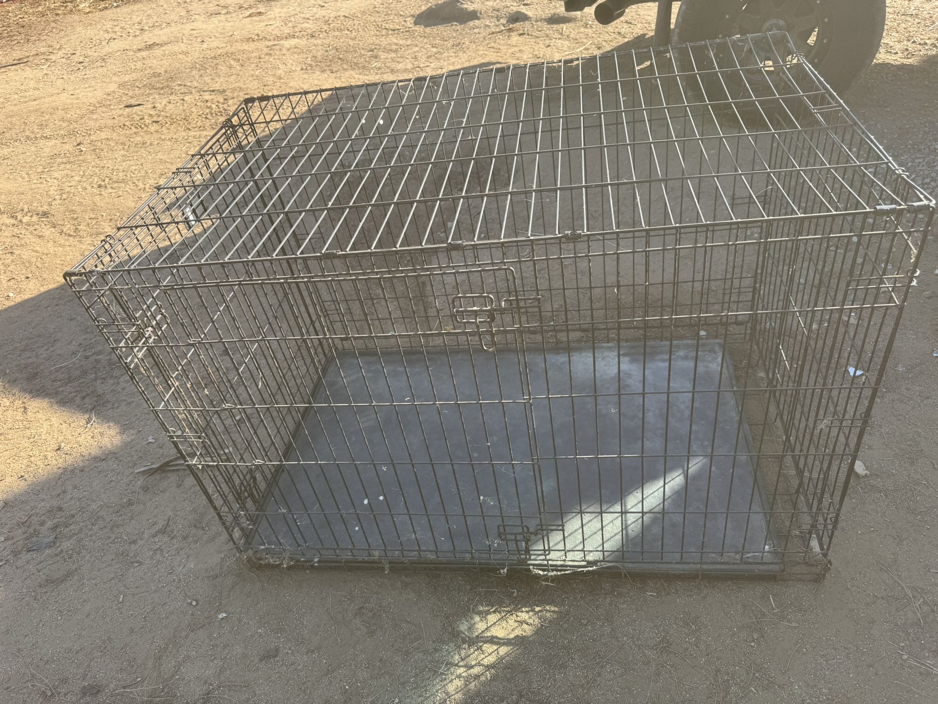 Case For Dogs